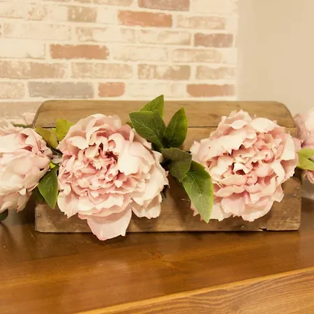 El Rincon De Celia Lejlighed